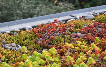the cost of Middle Stoughton green roof installation